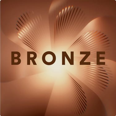 Stick EVO Bronze 