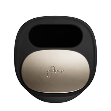 Ploom Large Stick Tray top view
