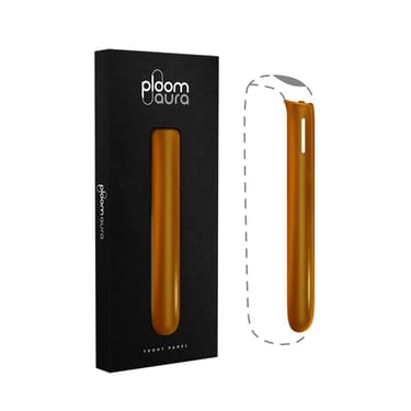 Cover Frontale Mango Sorbet