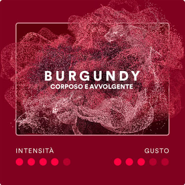 Stick EVO Burgundy