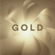 Stick EVO Gold