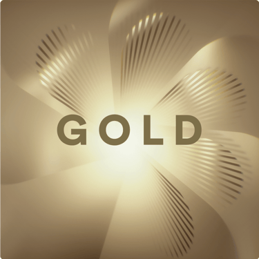 Stick EVO Gold
