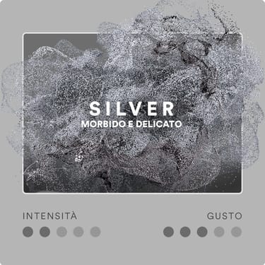 Stick EVO Silver