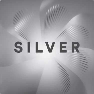 Stick EVO Silver