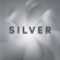 Stick EVO Silver