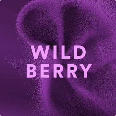 LYO Wild Berry ricarica per dispositivo Ploom AURA