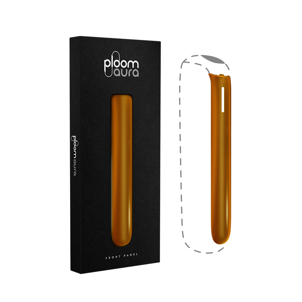 Cover Frontale Mango Sorbet