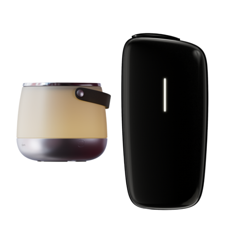 Ploom X Bundle - Dispositivo & Lanterna Posa Stick